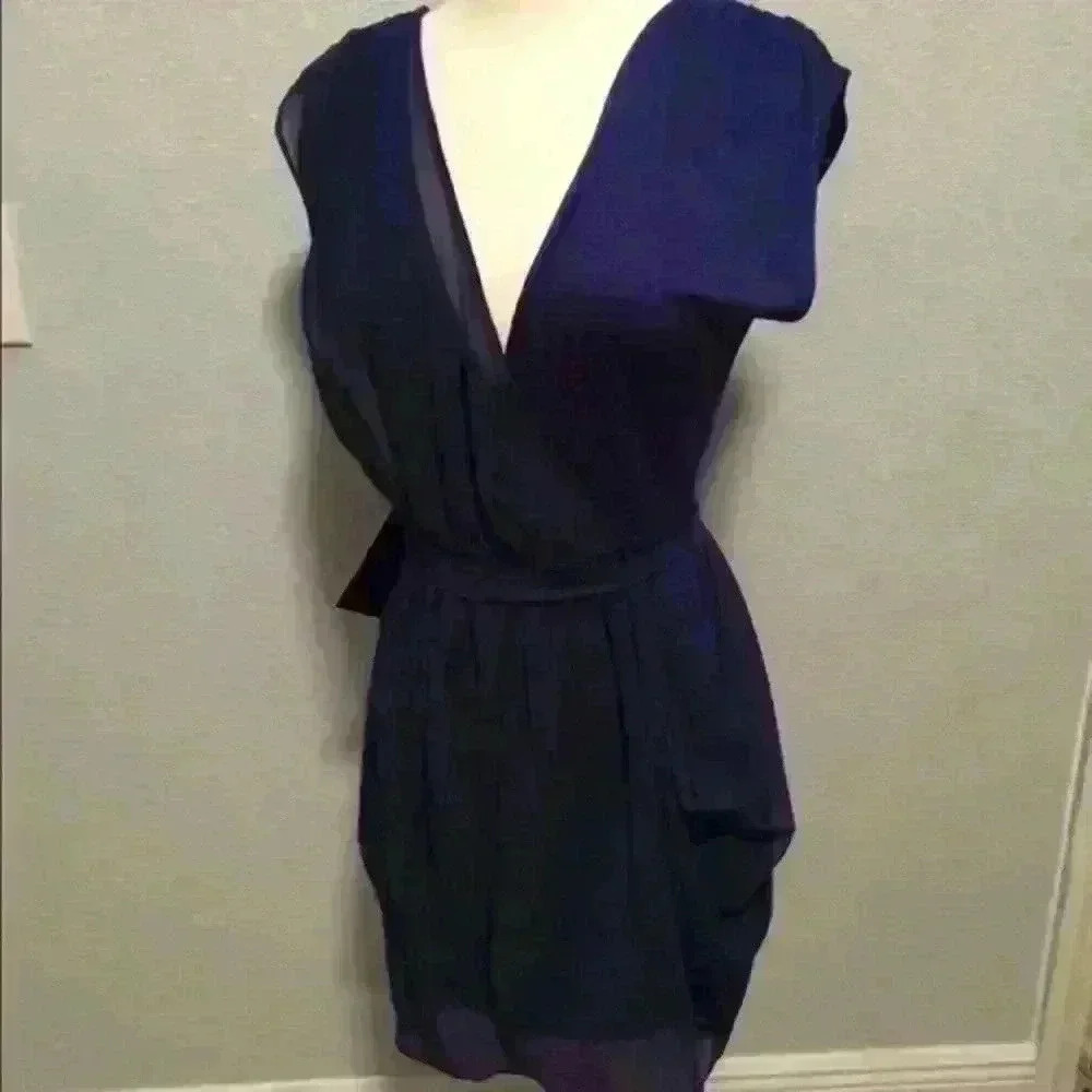 Bebe Sheer Dress